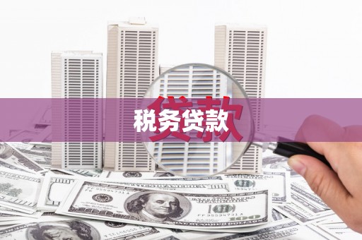 吴忠税务贷款