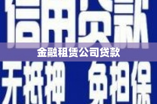吴忠金融租赁公司贷款