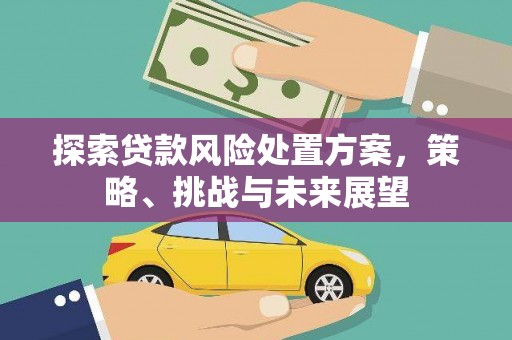 吴忠探索贷款风险处置方案，策略、挑战与未来展望