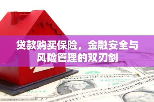 吴忠贷款购买保险，金融安全与风险管理的双刃剑