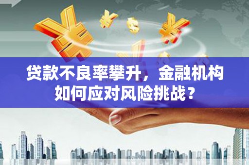 吴忠贷款不良率攀升，金融机构如何应对风险挑战？