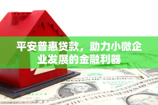 吴忠平安普惠贷款，助力小微企业发展的金融利器