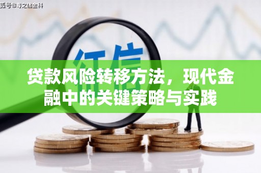 吴忠贷款风险转移方法，现代金融中的关键策略与实践
