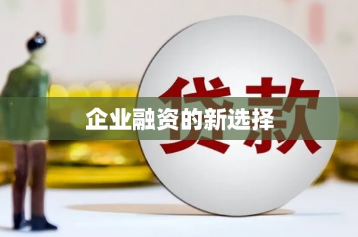 吴忠企业融资的新选择