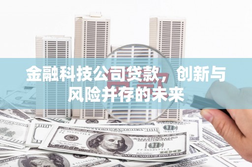 吴忠金融科技公司贷款，创新与风险并存的未来