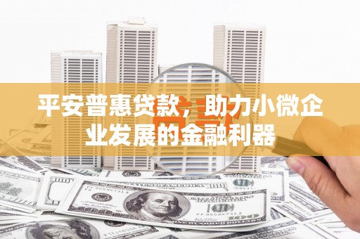 吴忠平安普惠贷款，助力小微企业发展的金融利器