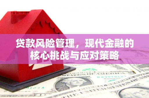 吴忠贷款风险管理，现代金融的核心挑战与应对策略