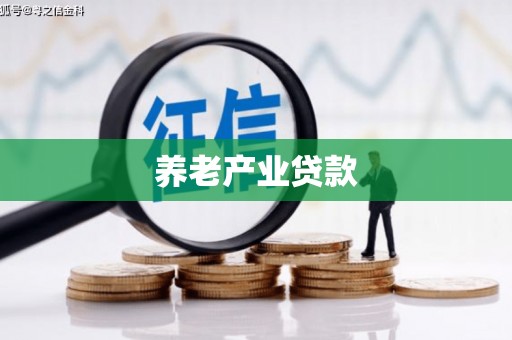 吴忠养老产业贷款