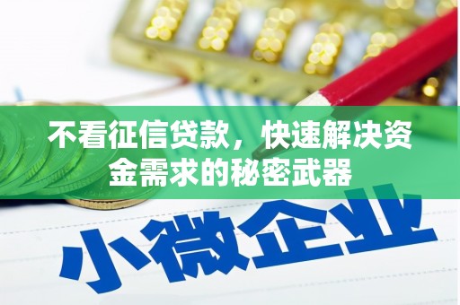 吴忠不看征信贷款，快速解决资金需求的秘密武器