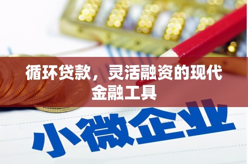 吴忠循环贷款，灵活融资的现代金融工具