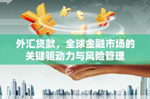 吴忠外汇贷款，全球金融市场的关键驱动力与风险管理