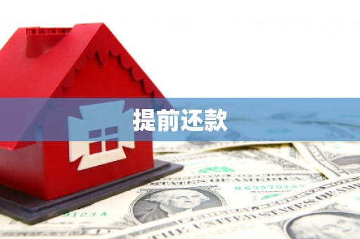 吴忠提前还款