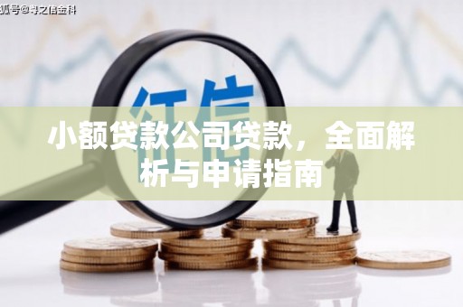 吴忠小额贷款公司贷款，全面解析与申请指南
