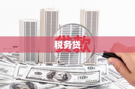 吴忠税务贷