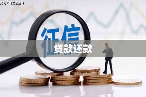 吴忠贷款还款