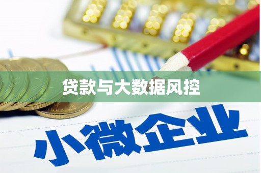 吴忠贷款与大数据风控