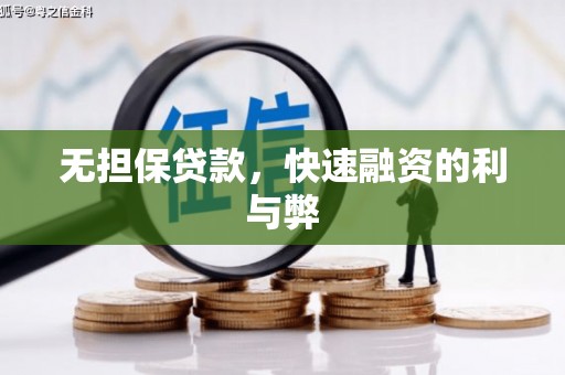 吴忠无担保贷款，快速融资的利与弊