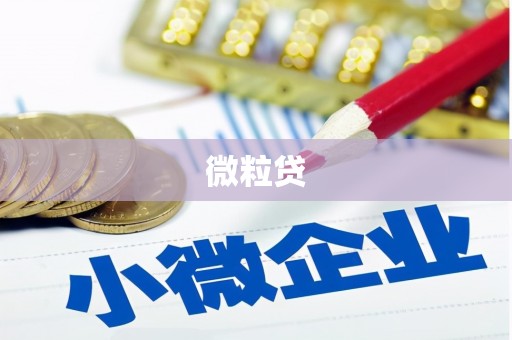 吴忠微粒贷