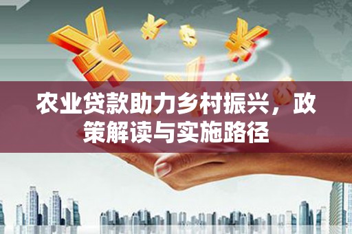 吴忠农业贷款助力乡村振兴，政策解读与实施路径