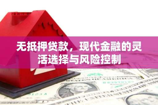 吴忠无抵押贷款，现代金融的灵活选择与风险控制