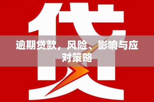 吴忠逾期贷款，风险、影响与应对策略