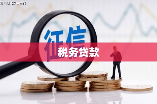 吴忠税务贷款