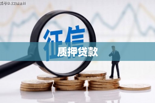 吴忠质押贷款