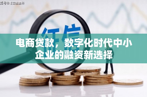 吴忠电商贷款，数字化时代中小企业的融资新选择