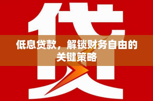 吴忠低息贷款，解锁财务自由的关键策略