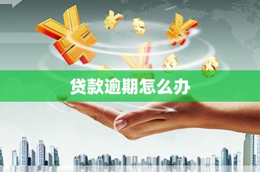 吴忠贷款逾期怎么办