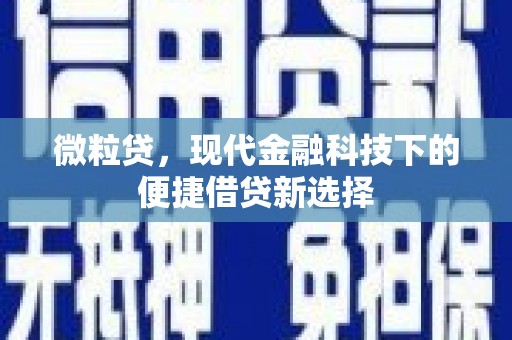 吴忠微粒贷，现代金融科技下的便捷借贷新选择