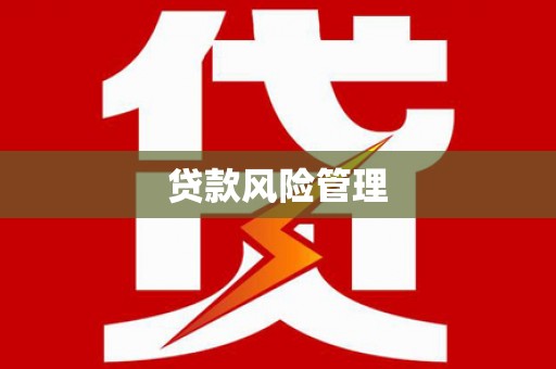 吴忠贷款风险管理