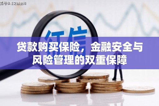 吴忠贷款购买保险，金融安全与风险管理的双重保障