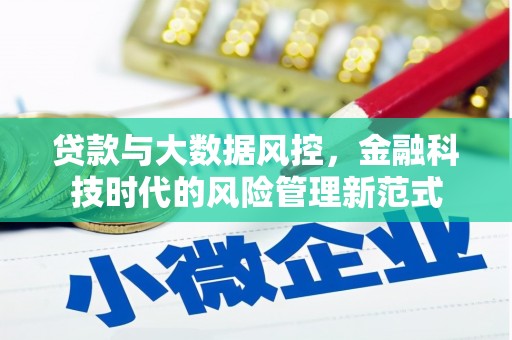 吴忠贷款与大数据风控，金融科技时代的风险管理新范式