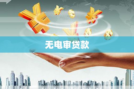 吴忠无电审贷款