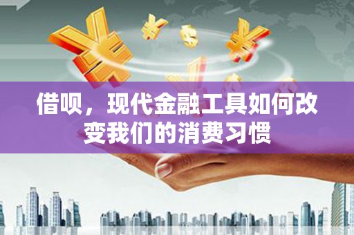 吴忠借呗，现代金融工具如何改变我们的消费习惯