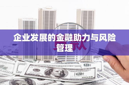 吴忠企业发展的金融助力与风险管理