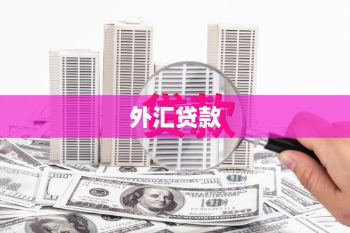 吴忠外汇贷款