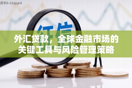 吴忠外汇贷款，全球金融市场的关键工具与风险管理策略
