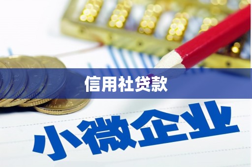 吴忠信用社贷款