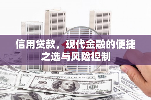 吴忠信用贷款，现代金融的便捷之选与风险控制