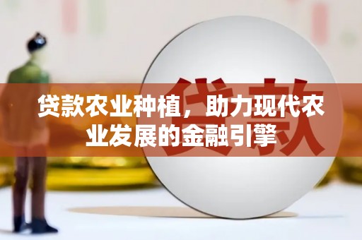 吴忠贷款农业种植，助力现代农业发展的金融引擎