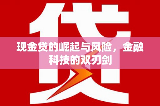 吴忠现金贷的崛起与风险，金融科技的双刃剑