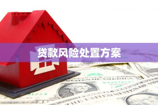 吴忠贷款风险处置方案