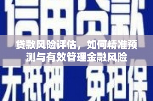 吴忠贷款风险评估，如何精准预测与有效管理金融风险