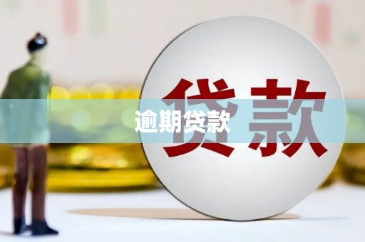 吴忠逾期贷款
