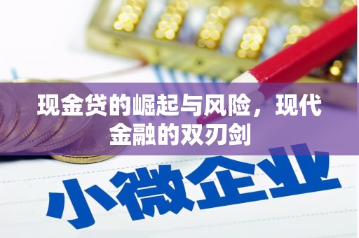 吴忠现金贷的崛起与风险，现代金融的双刃剑
