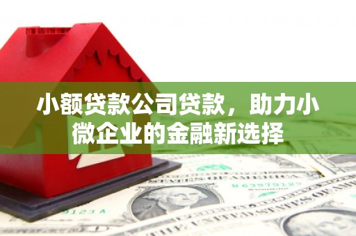 吴忠小额贷款公司贷款，助力小微企业的金融新选择