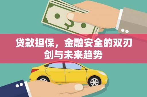 吴忠贷款担保，金融安全的双刃剑与未来趋势
