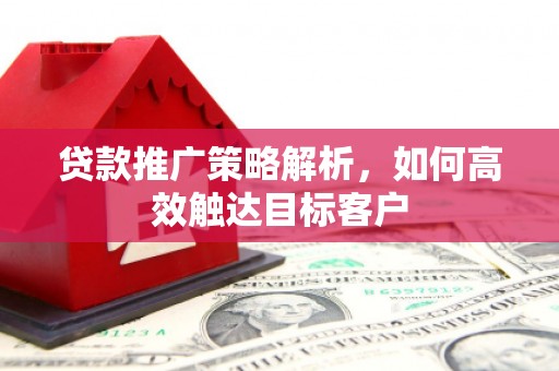 吴忠贷款推广策略解析，如何高效触达目标客户